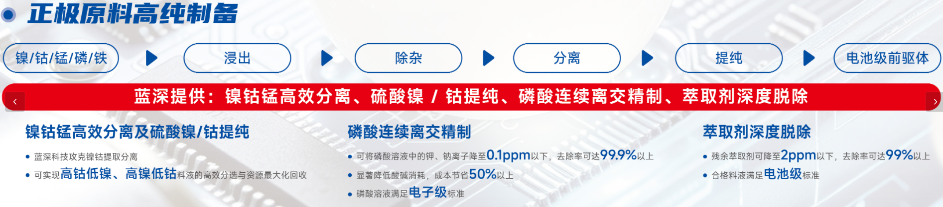 正极 正极